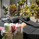 The Oasis Residence